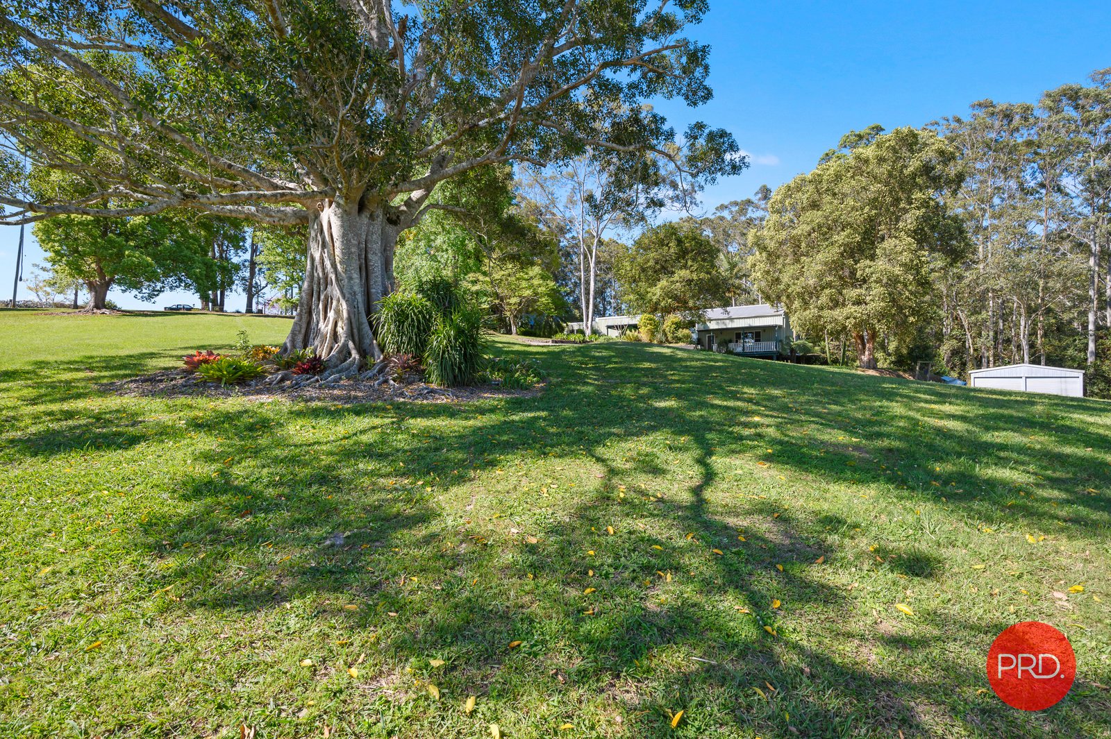 64 Reids Road HYDES CREEK 20