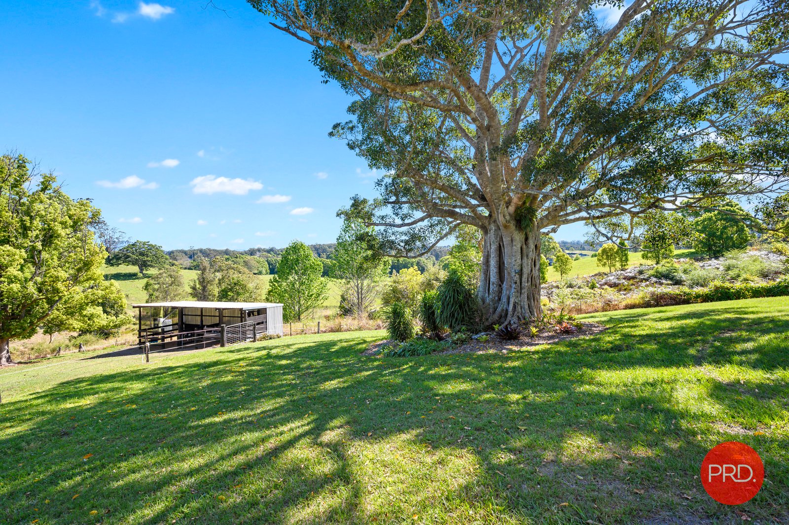 64 Reids Road HYDES CREEK 23