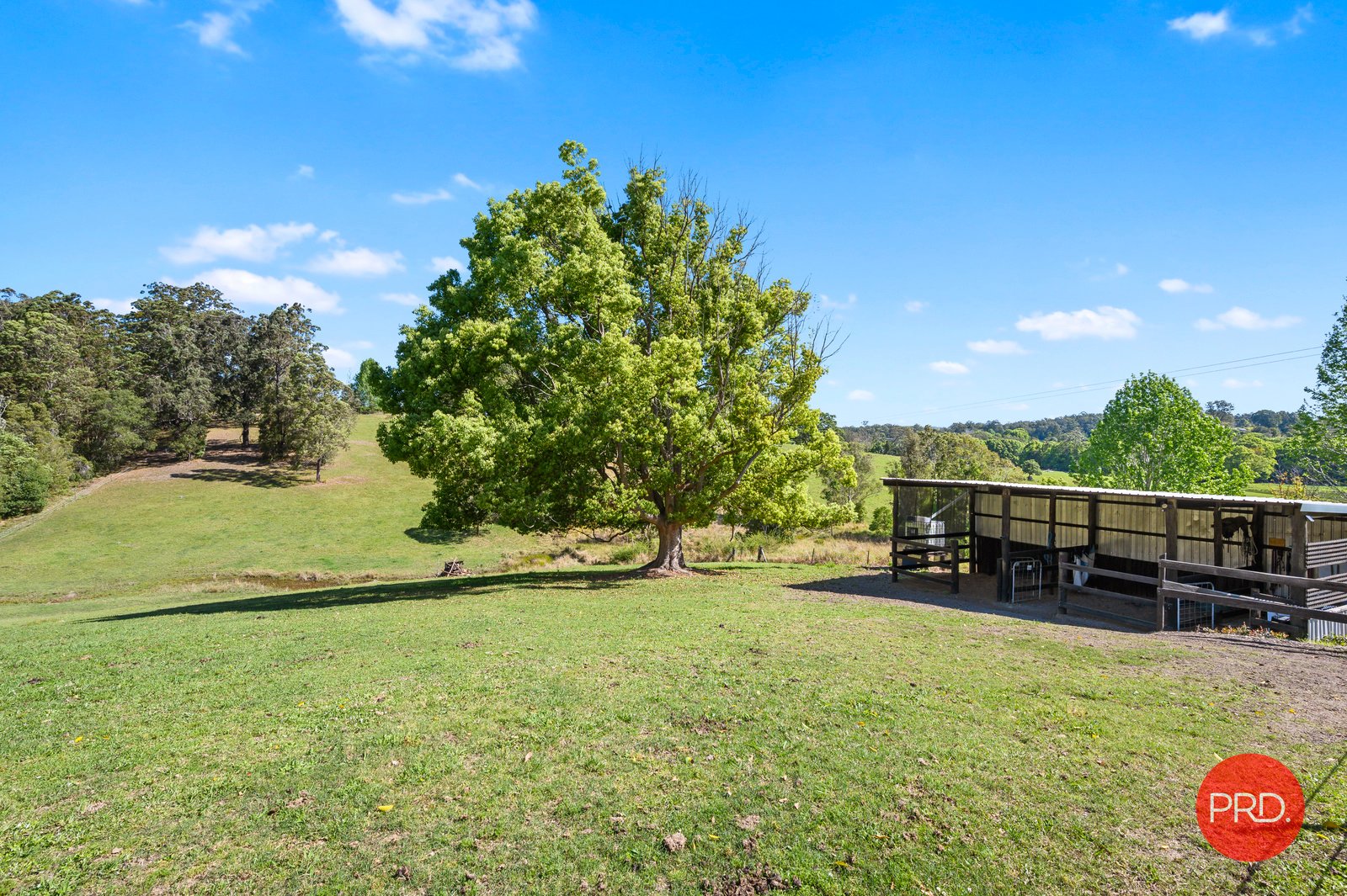 64 Reids Road HYDES CREEK 27