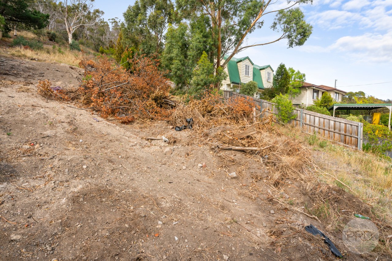64 Sharland Avenue NEW NORFOLK 6