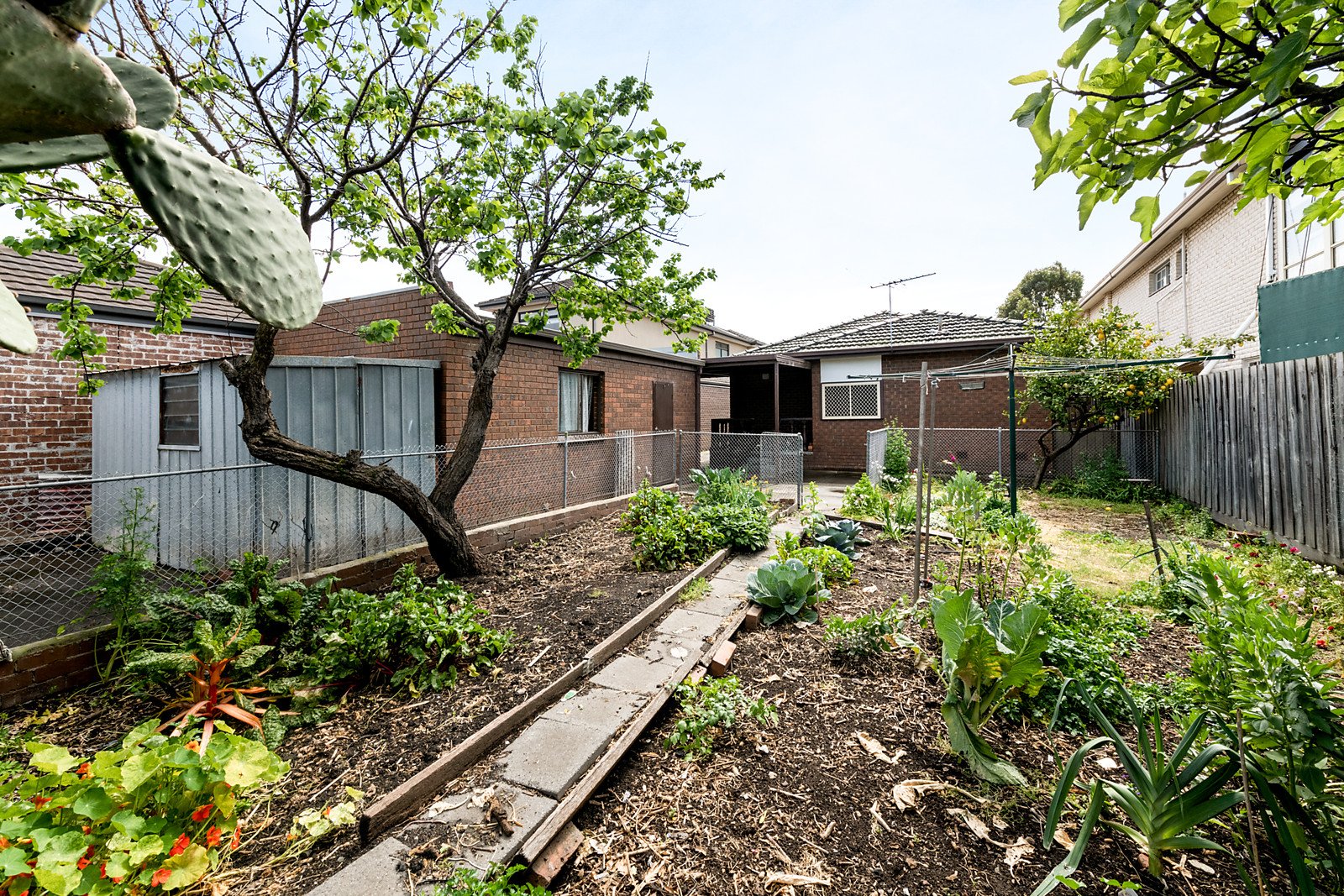 64 The Avenue, Coburg VIC 3058
