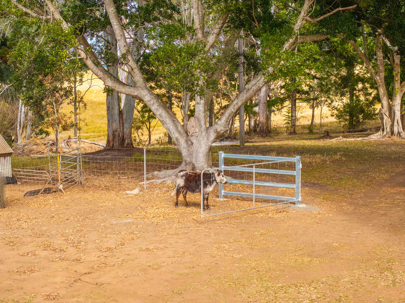 640 Old Dyraaba Road WOODVIEW 13