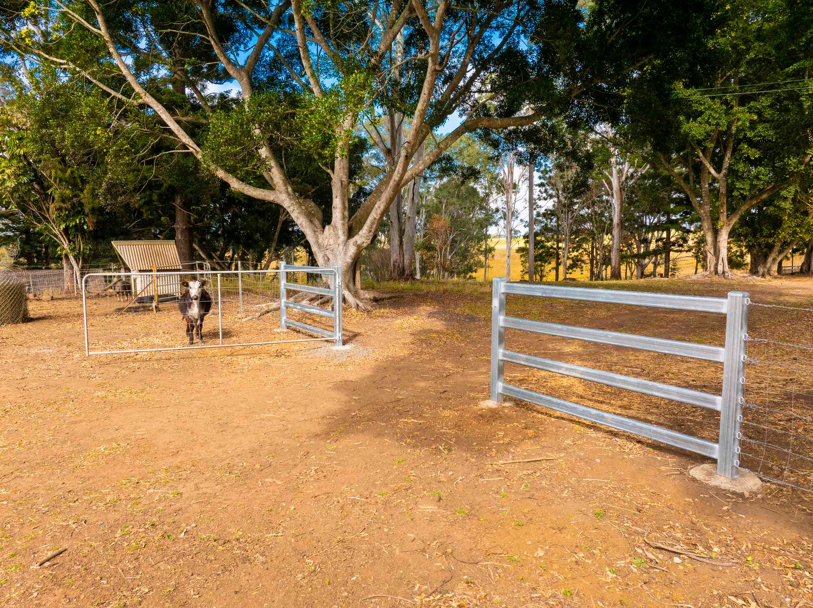 640 Old Dyraaba Road WOODVIEW 16