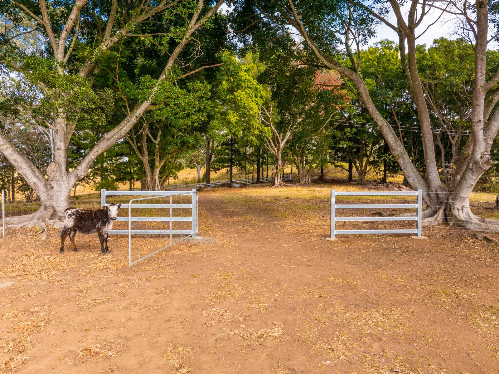 640 Old Dyraaba Road WOODVIEW 19