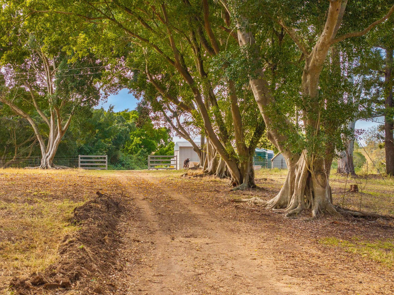 640 Old Dyraaba Road WOODVIEW 24