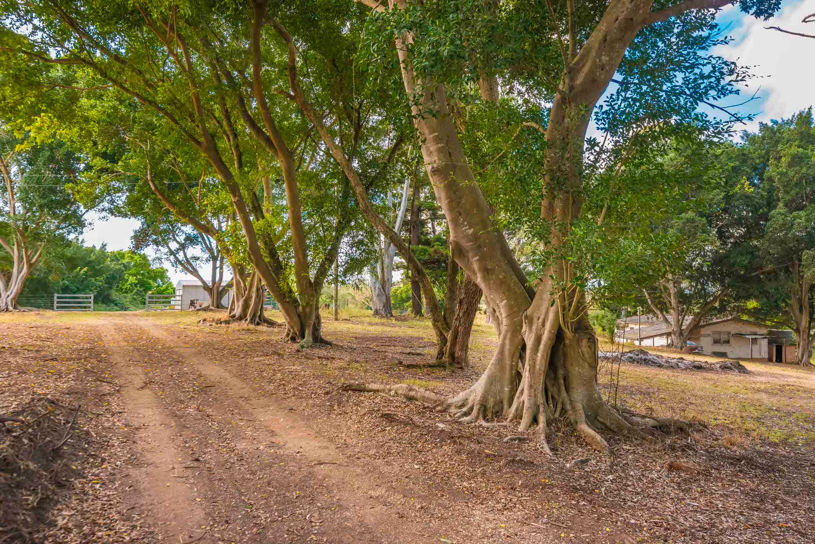 640 Old Dyraaba Road WOODVIEW 27
