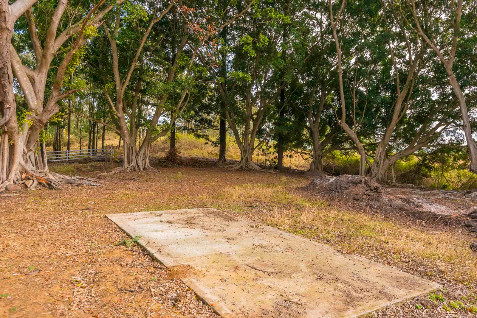 640 Old Dyraaba Road WOODVIEW 28