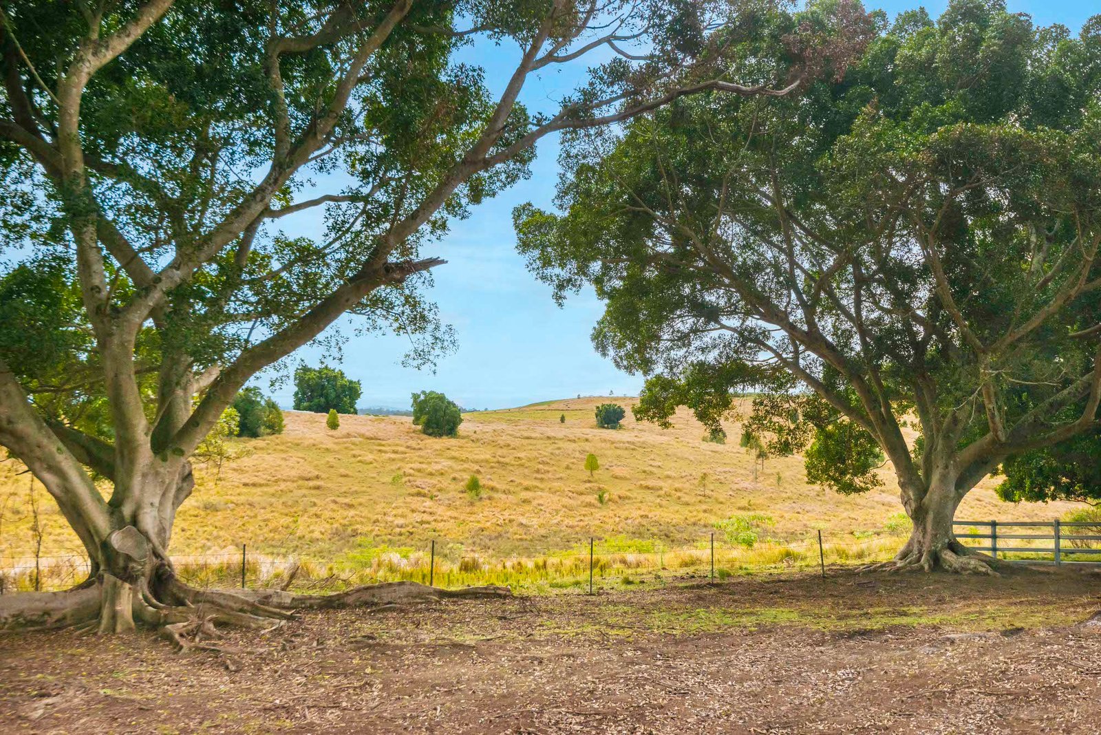 640 Old Dyraaba Road WOODVIEW 32