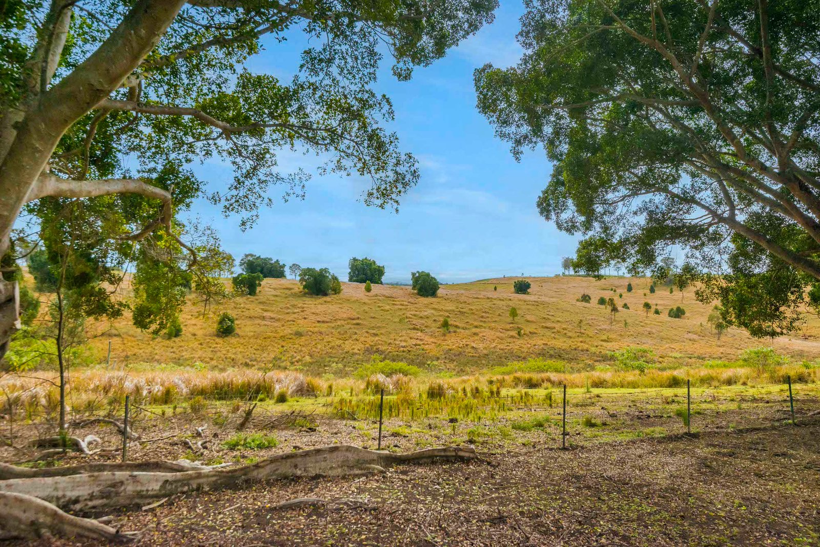 640 Old Dyraaba Road WOODVIEW 33