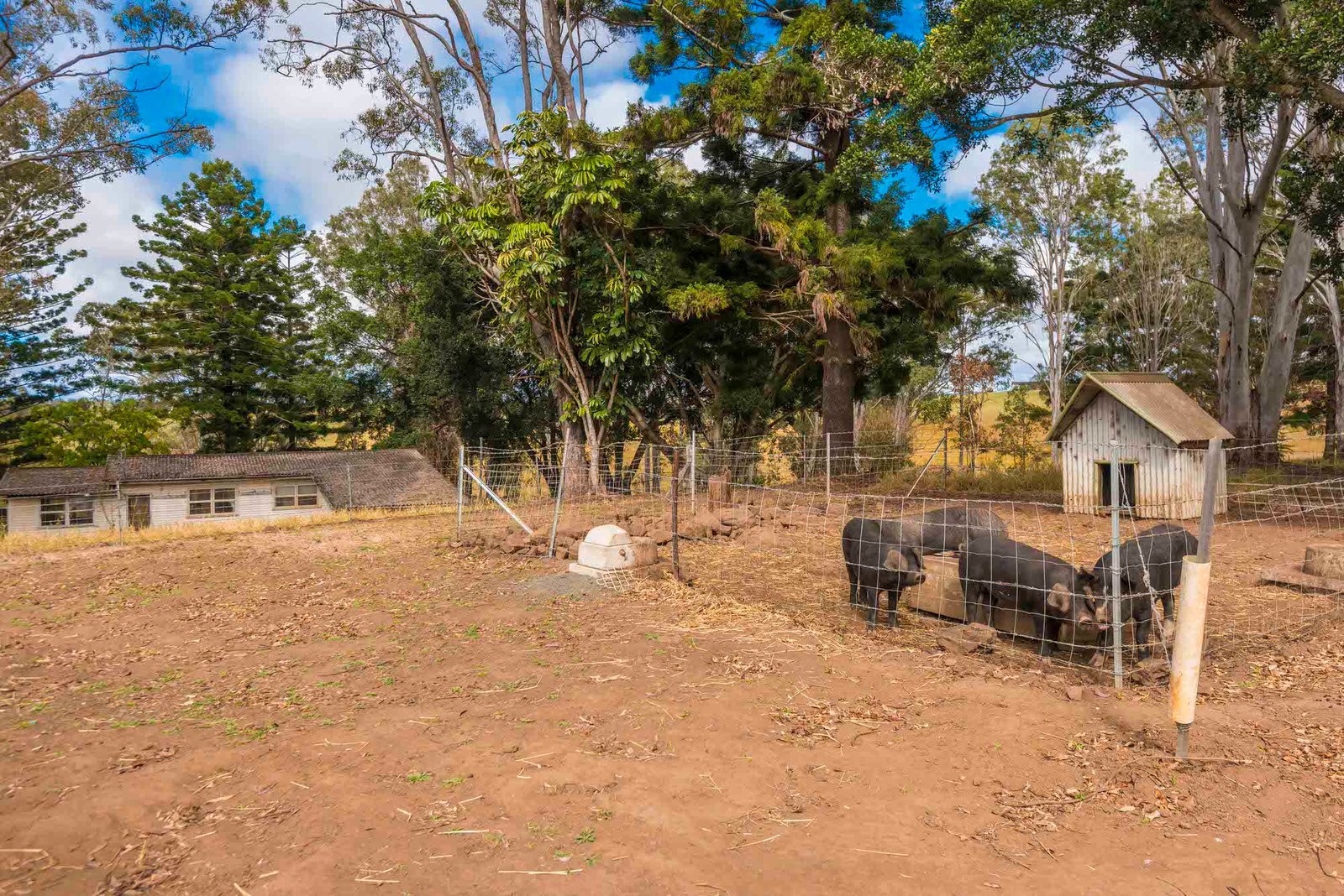 640 Old Dyraaba Road WOODVIEW 35