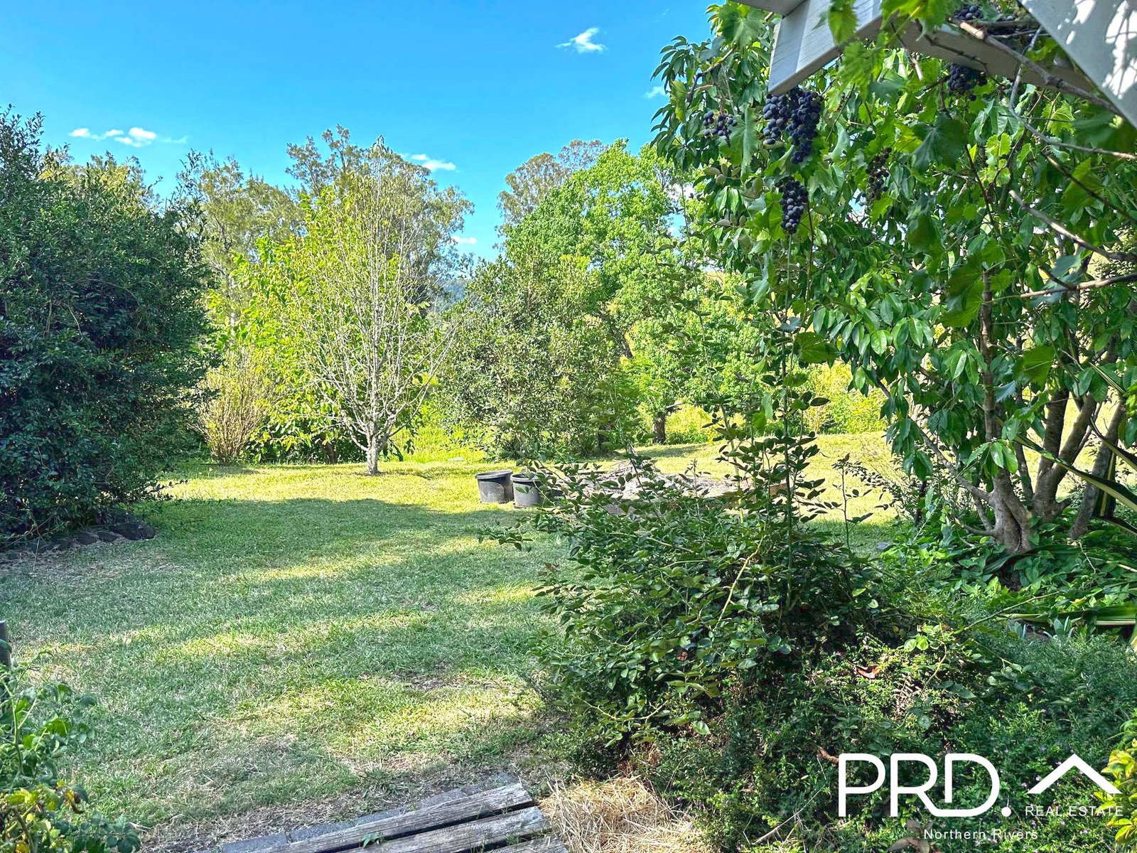 641 Iron Pot Creek Road KYOGLE 13