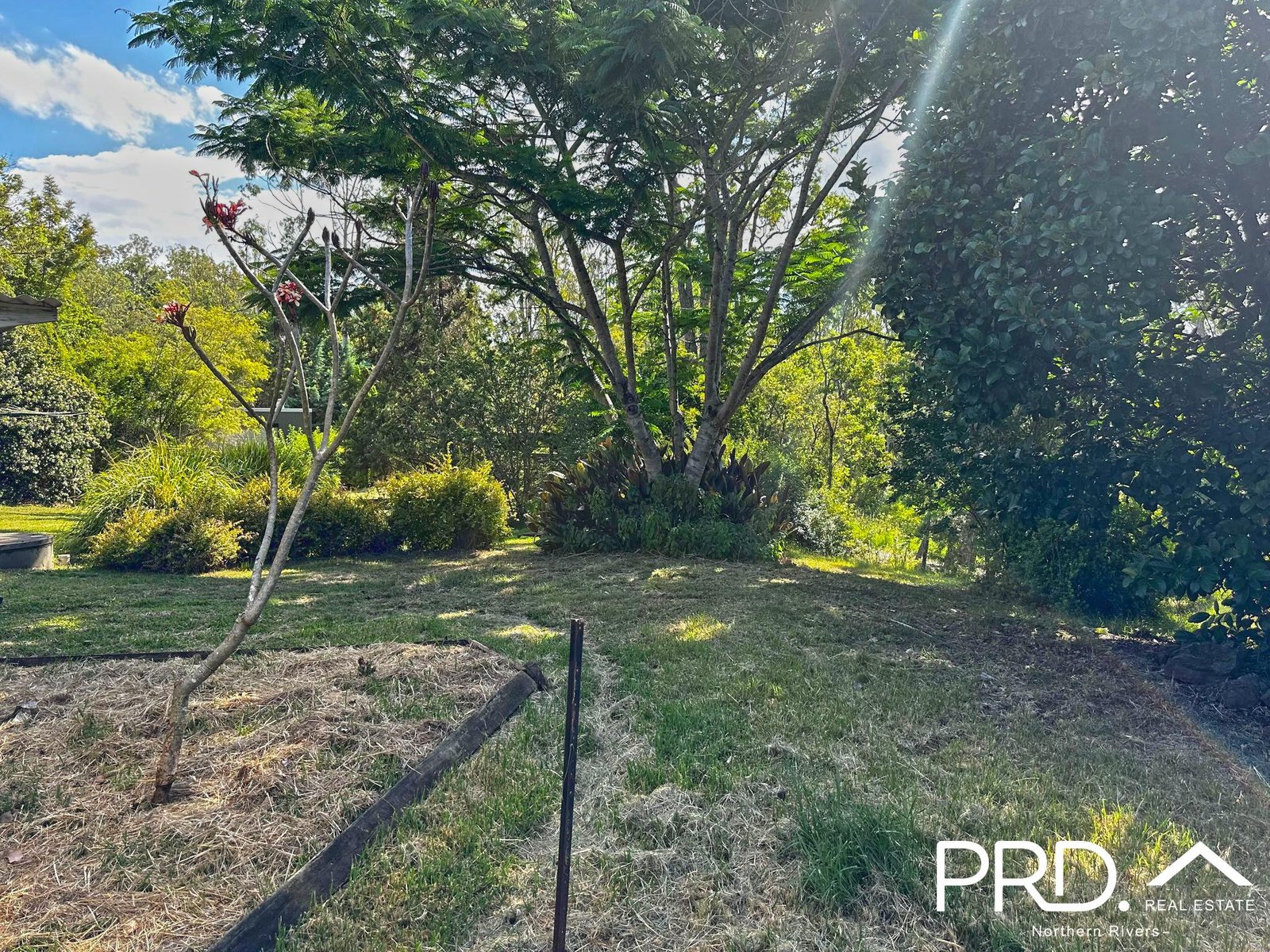 641 Iron Pot Creek Road KYOGLE 19