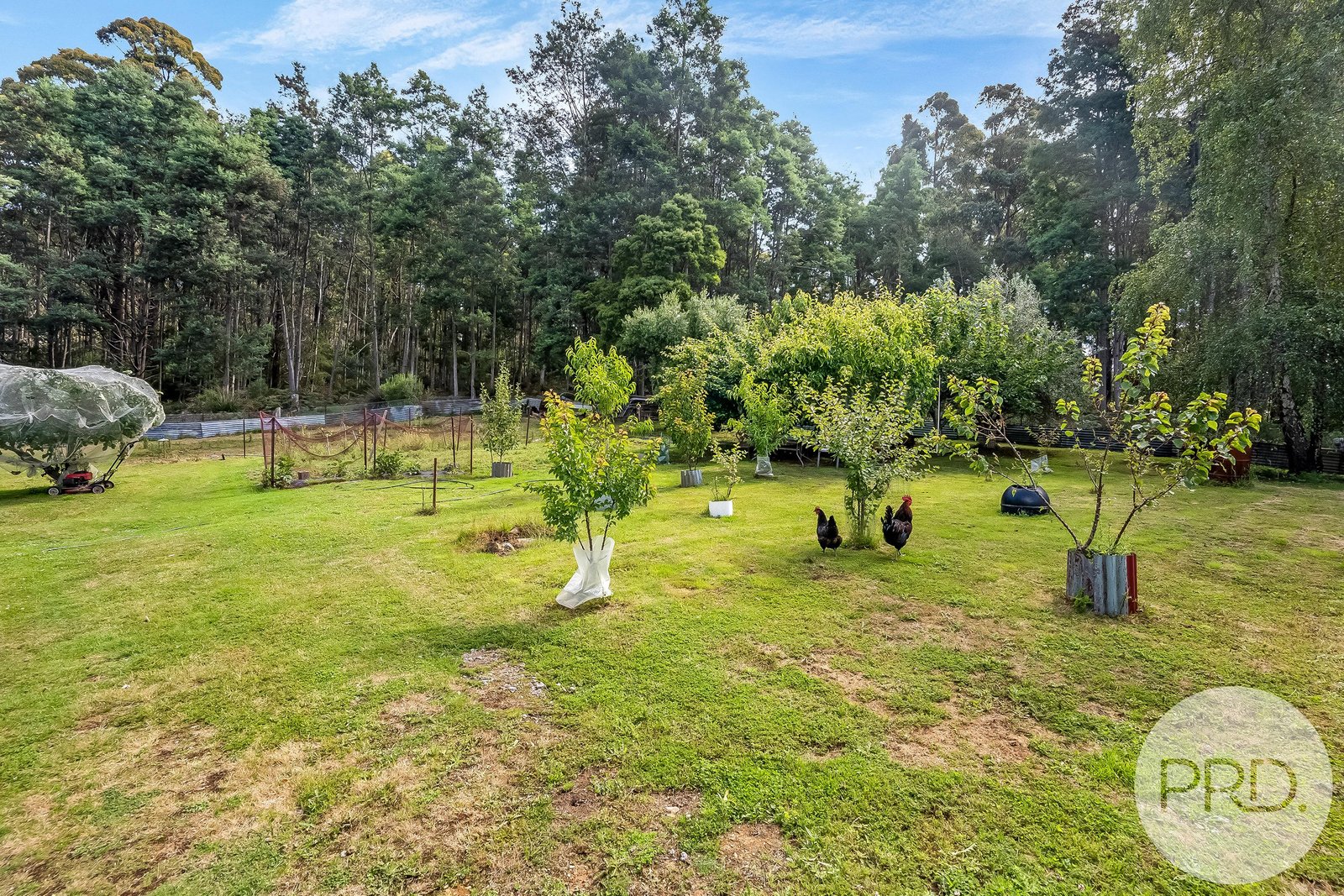 6429 Arthur Highway PORT ARTHUR 19