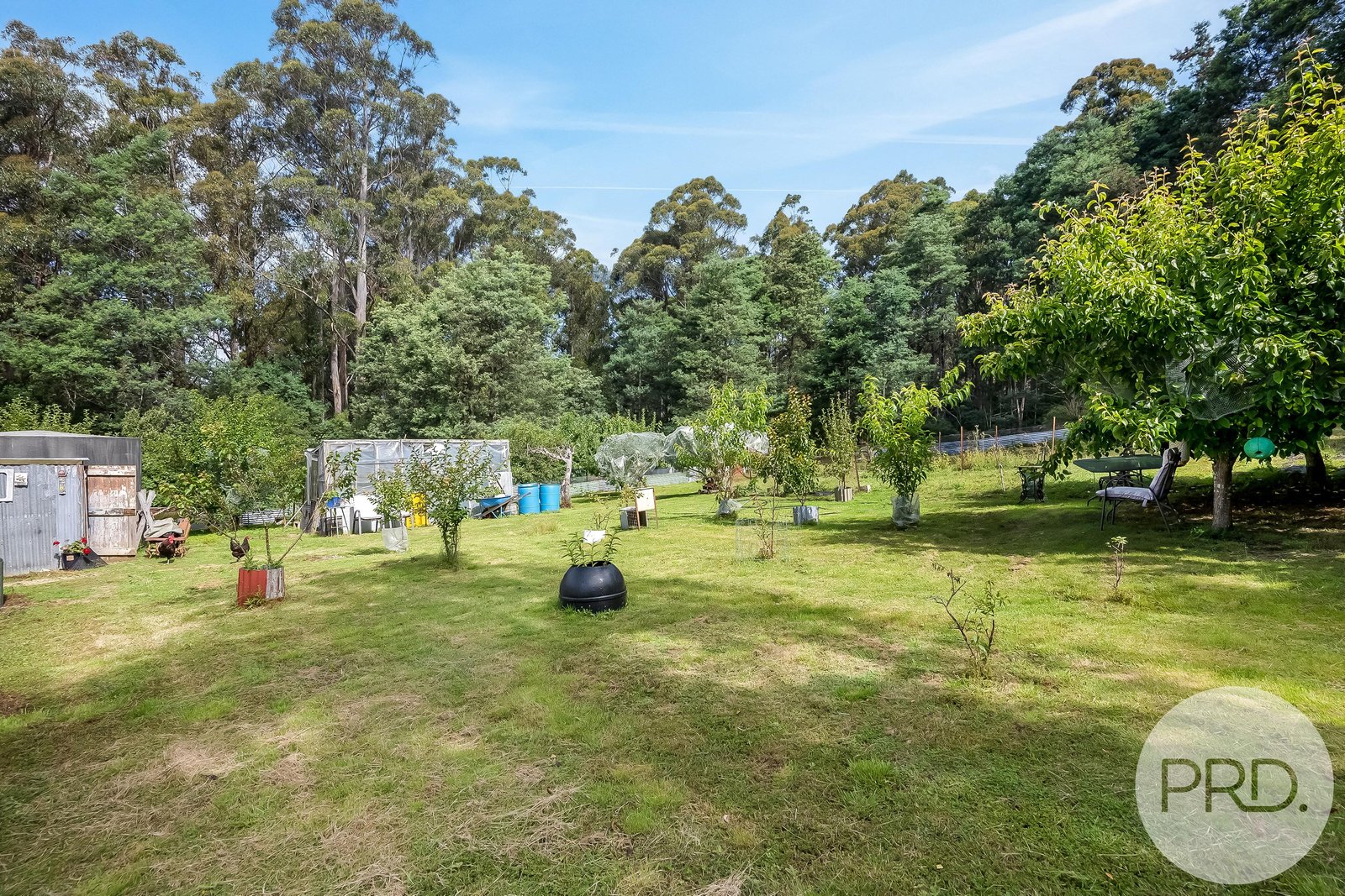 6429 Arthur Highway PORT ARTHUR 20