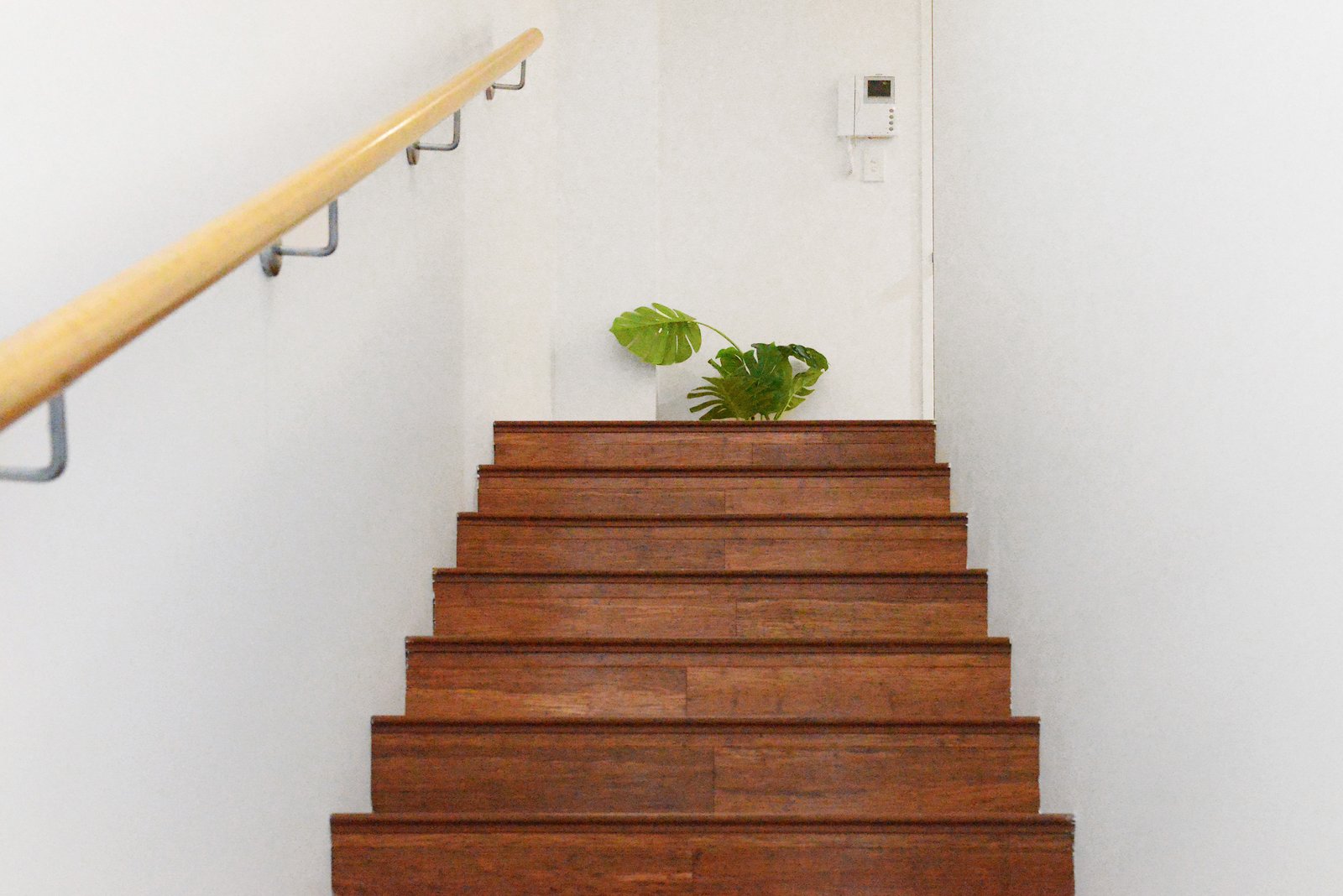 6/438-448 Anzac Parade KINGSFORD 15