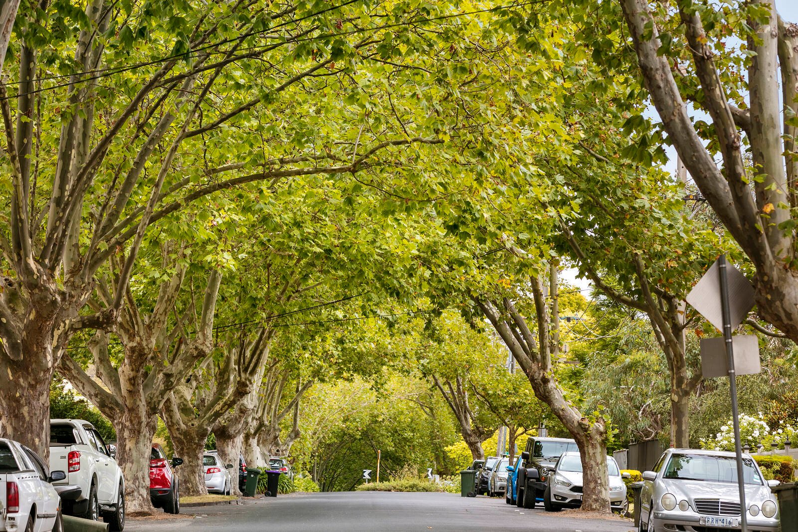 Real Estate and Property in 6/44 Alphington Street, Alphington, VIC