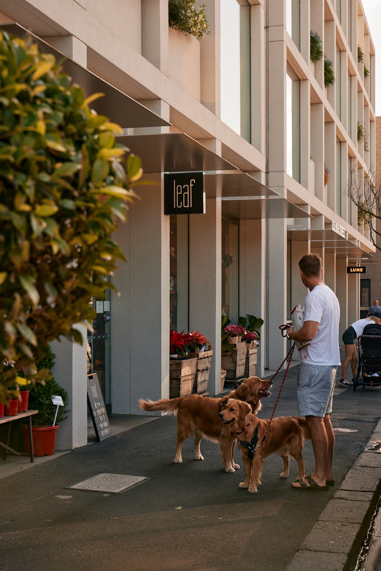 646 High Street, PRAHRAN, 3181