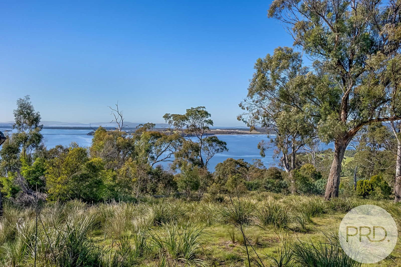 646 Shark Point Road PENNA 28