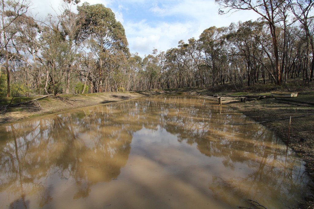 647 Pittong-Snake Valley Road SNAKE VALLEY 5