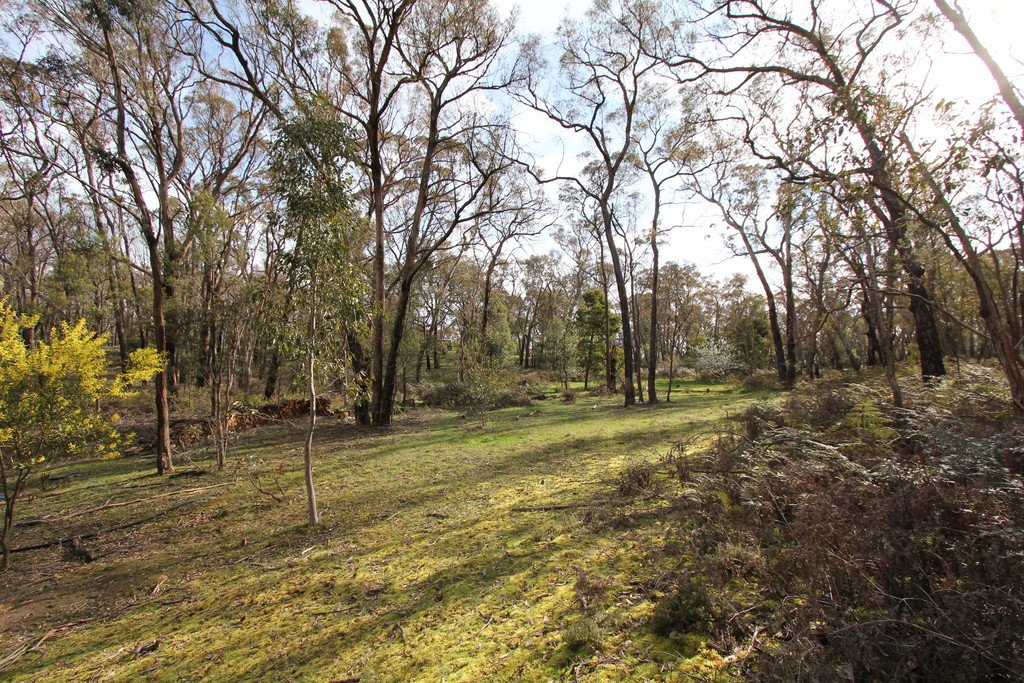 647 Pittong-Snake Valley Road SNAKE VALLEY 6