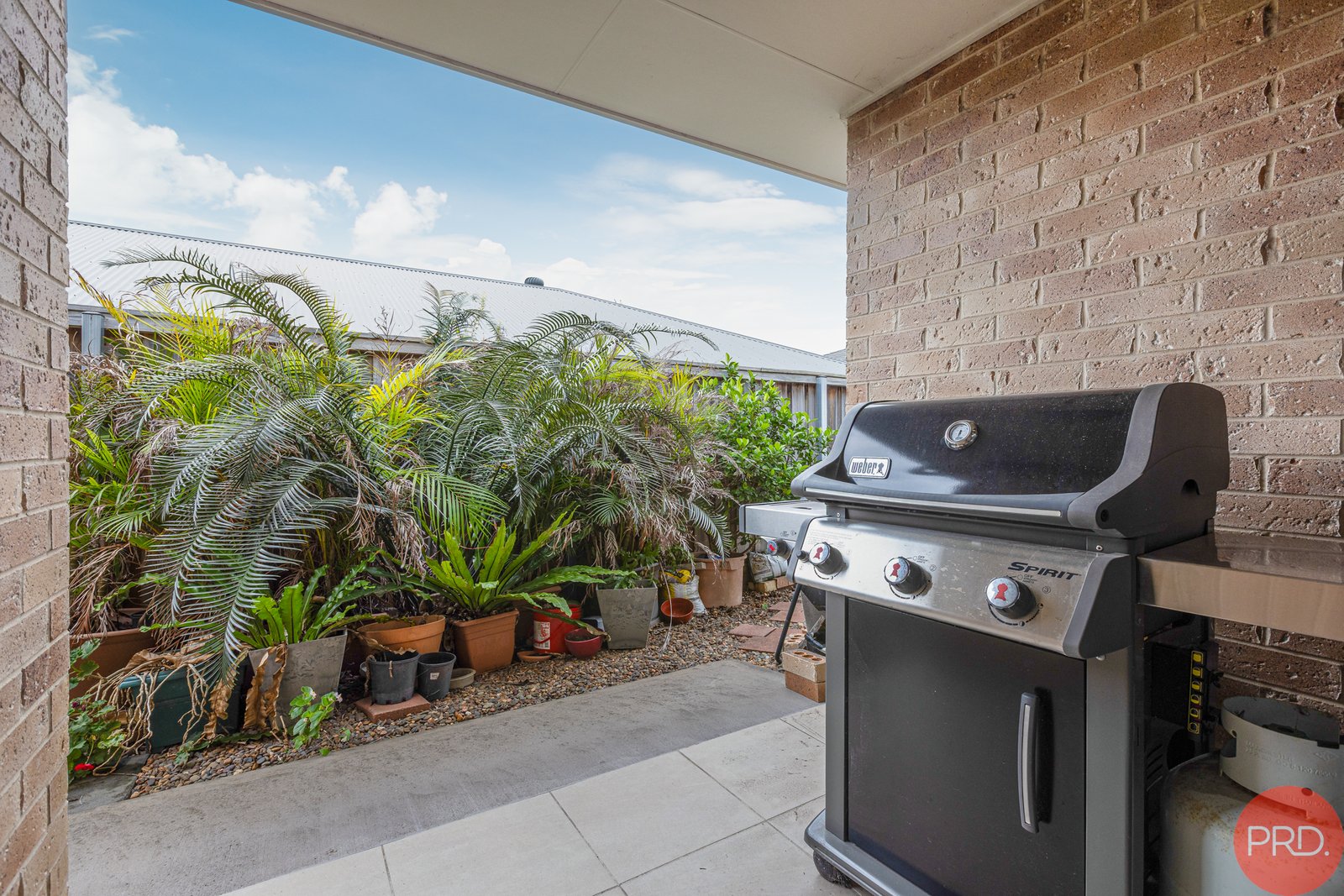 65 Dragonfly Drive CHISHOLM 16