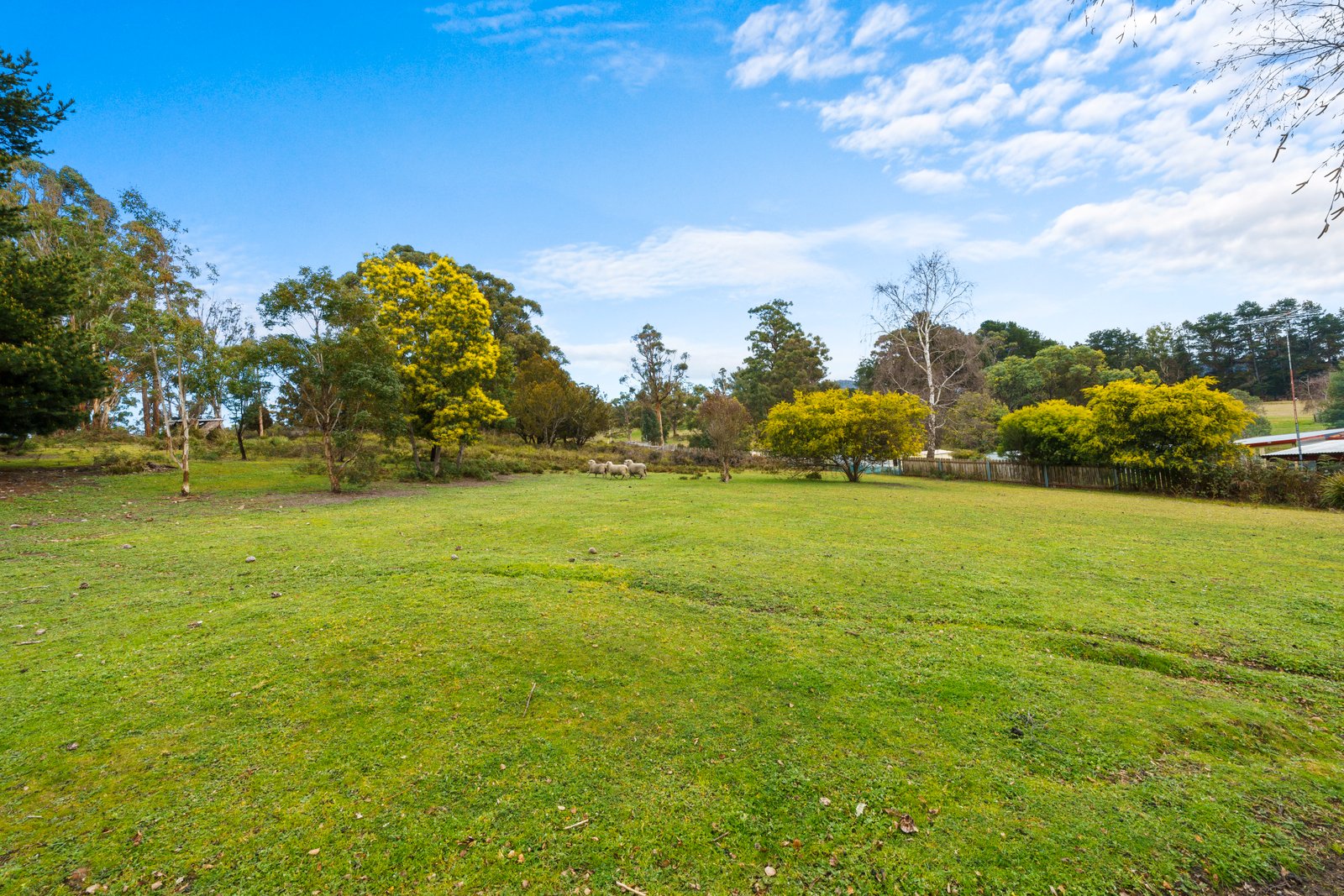 65 Ellendale Road WESTERWAY 23