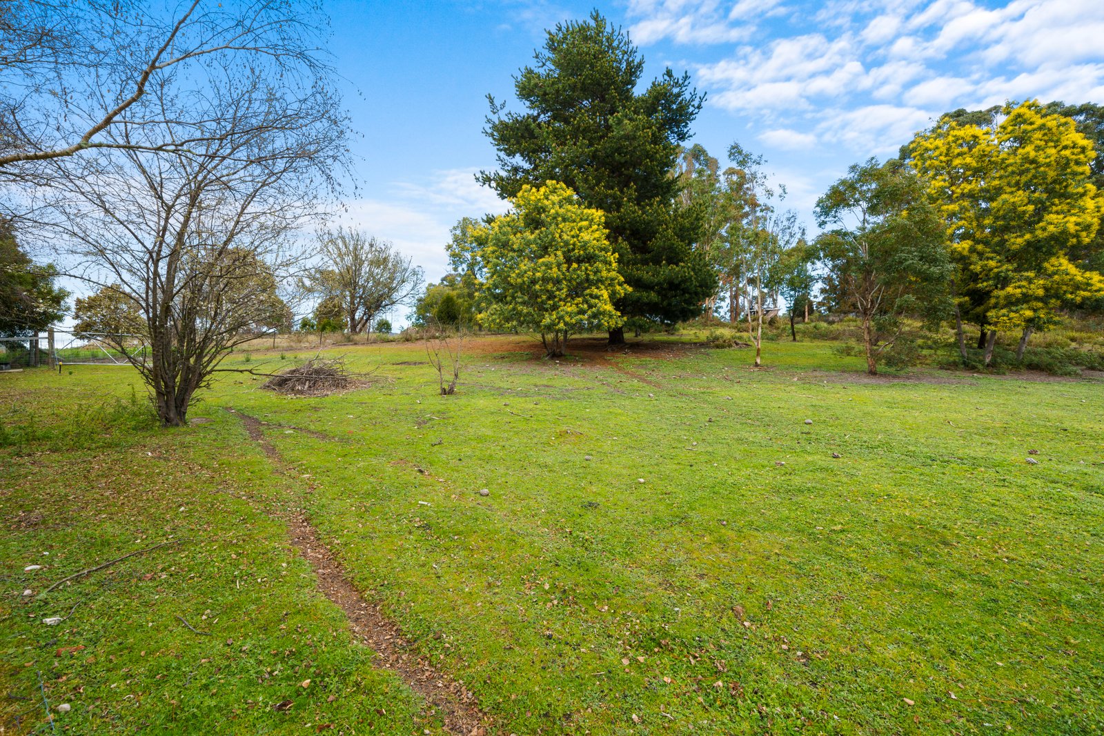 65 Ellendale Road WESTERWAY 29