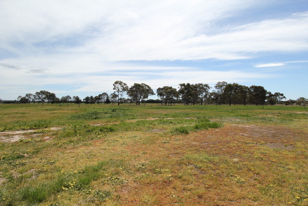 65 Fairview Drive CLUNES 6