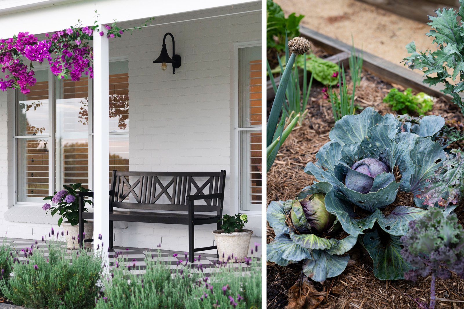 65 Forest Hill Drive OAKHAMPTON HEIGHTS 9