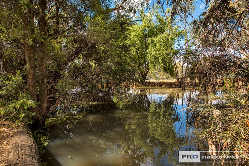 65 Graham Street TAMWORTH 22