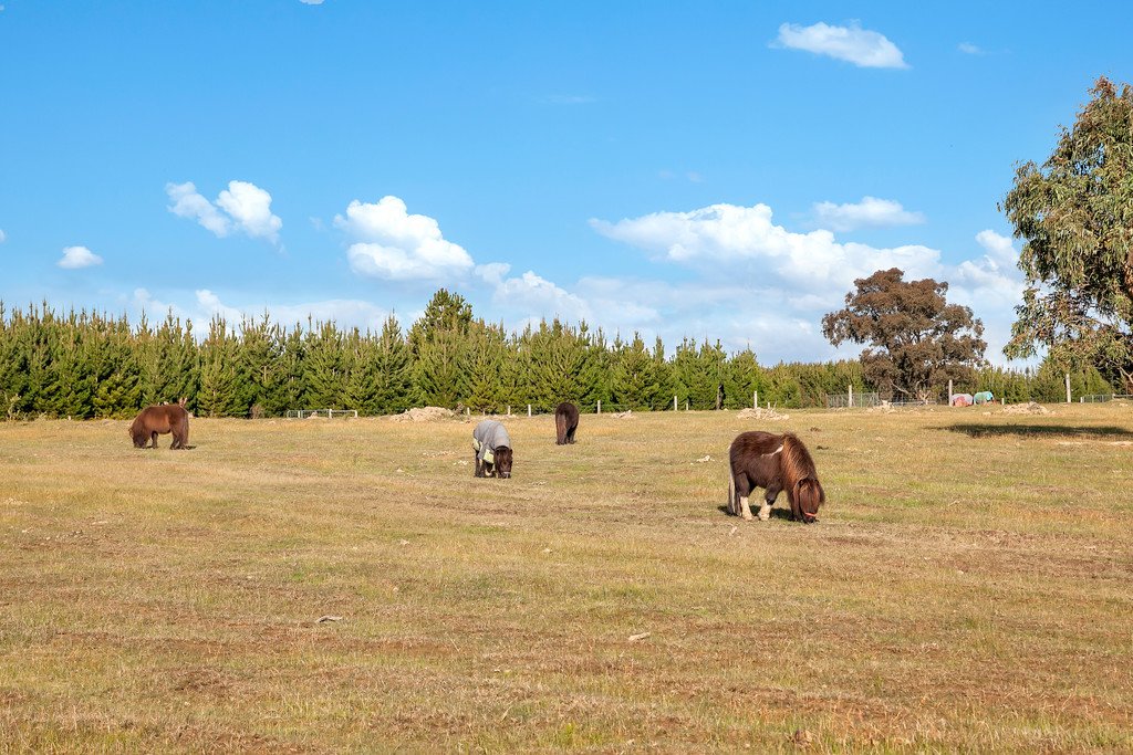 65 Kingfisher Drive LAL LAL 15