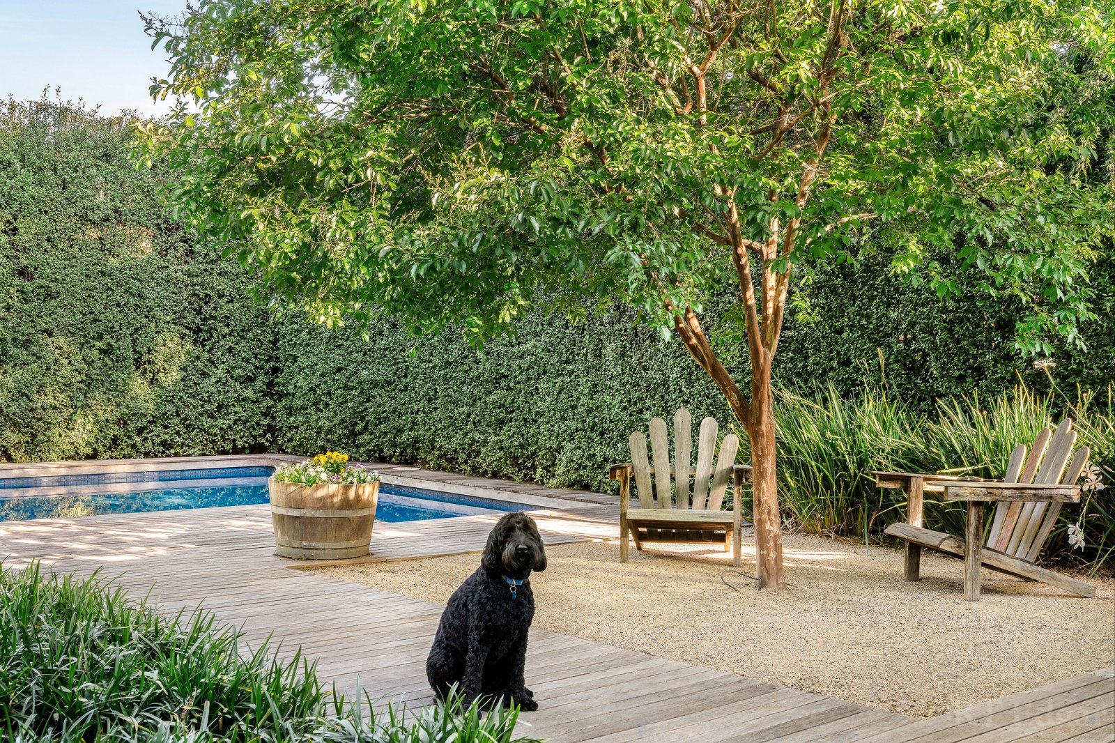 Real Estate and Property in 65 Robinson Road, Hawthorn, VIC