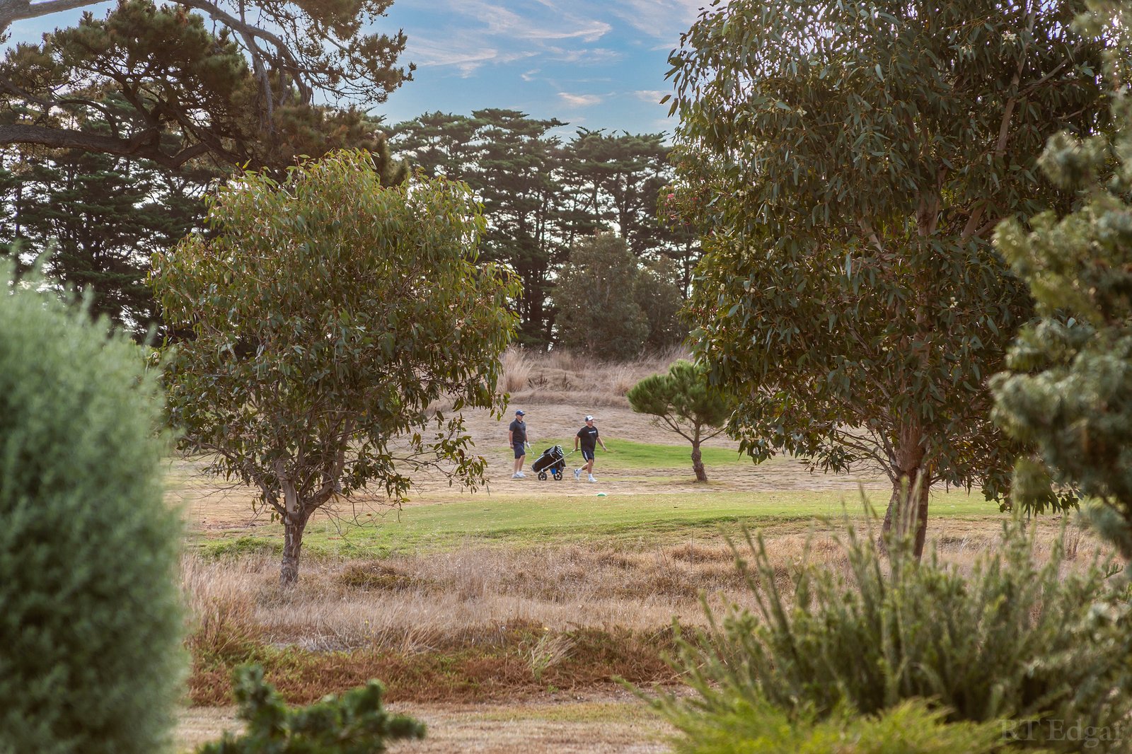 Real Estate and Property in 65 Samphire Drive, Connewarre, VIC