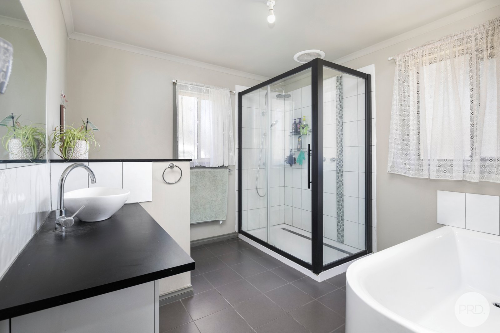 65 Williamson Street LEXTON 8