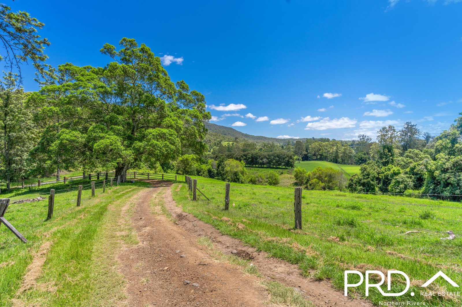 650 Cawongla Road LARNOOK 3