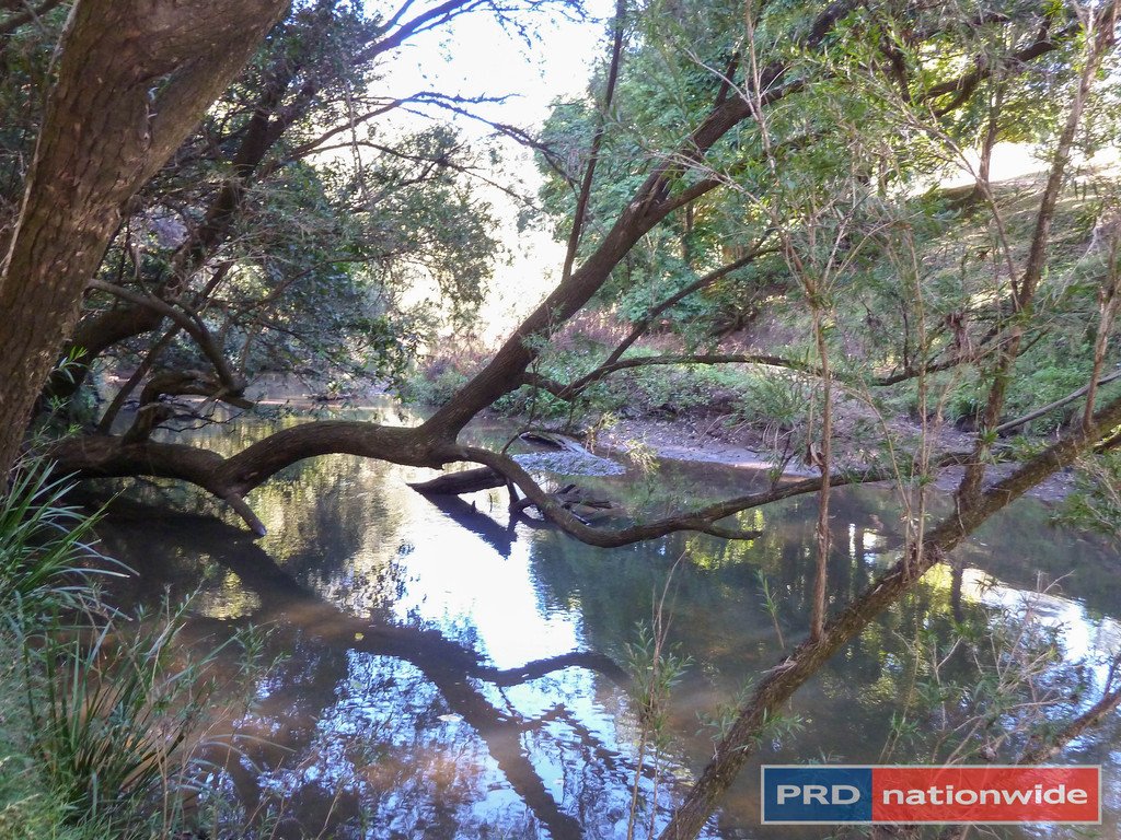 650 Cawongla Road, Larnook Via  KYOGLE 15
