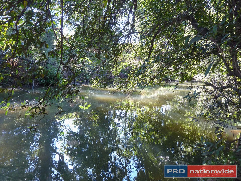 650 Cawongla Road, Larnook Via  KYOGLE 17