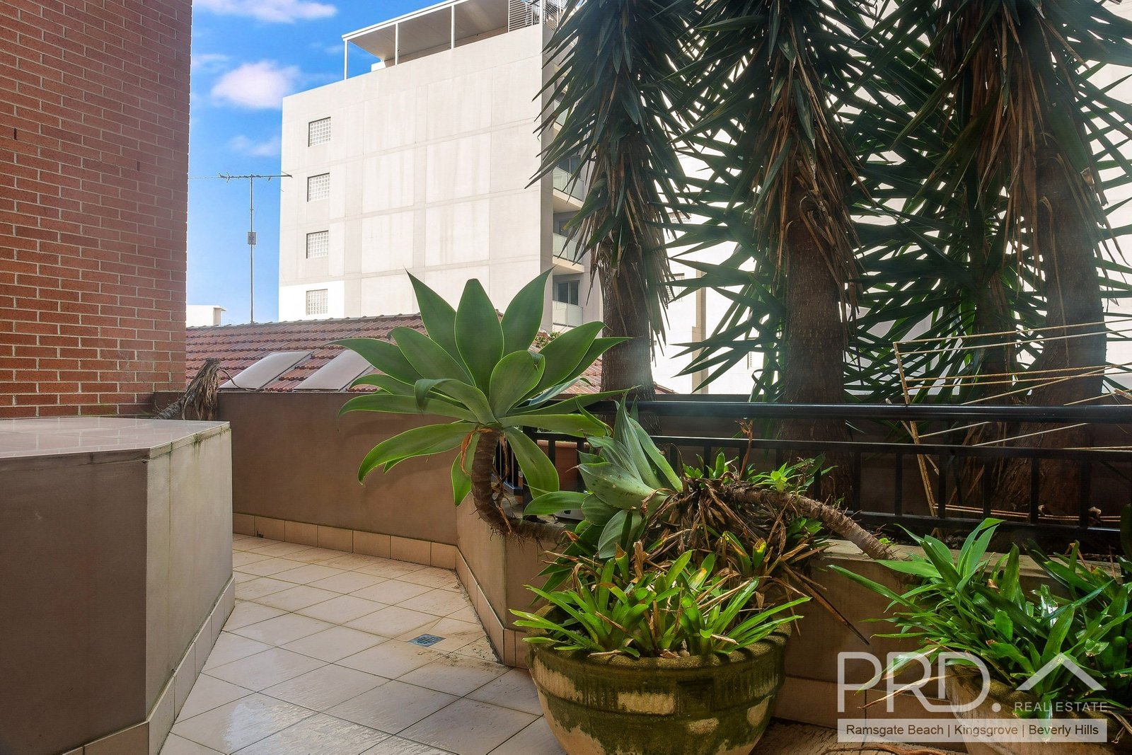 6/53-55 Montgomery Street KOGARAH 6