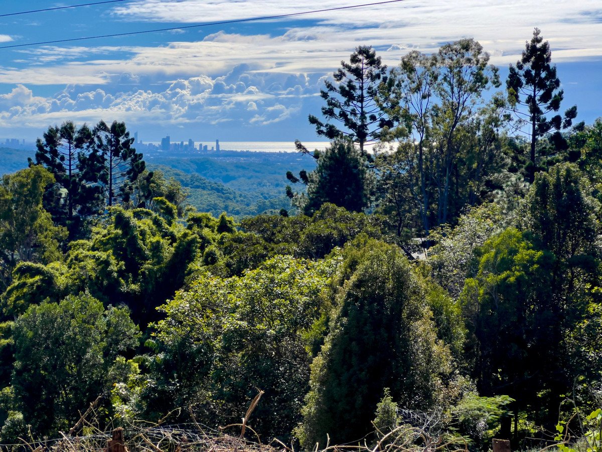658 Trees Road Tallebudgera 11