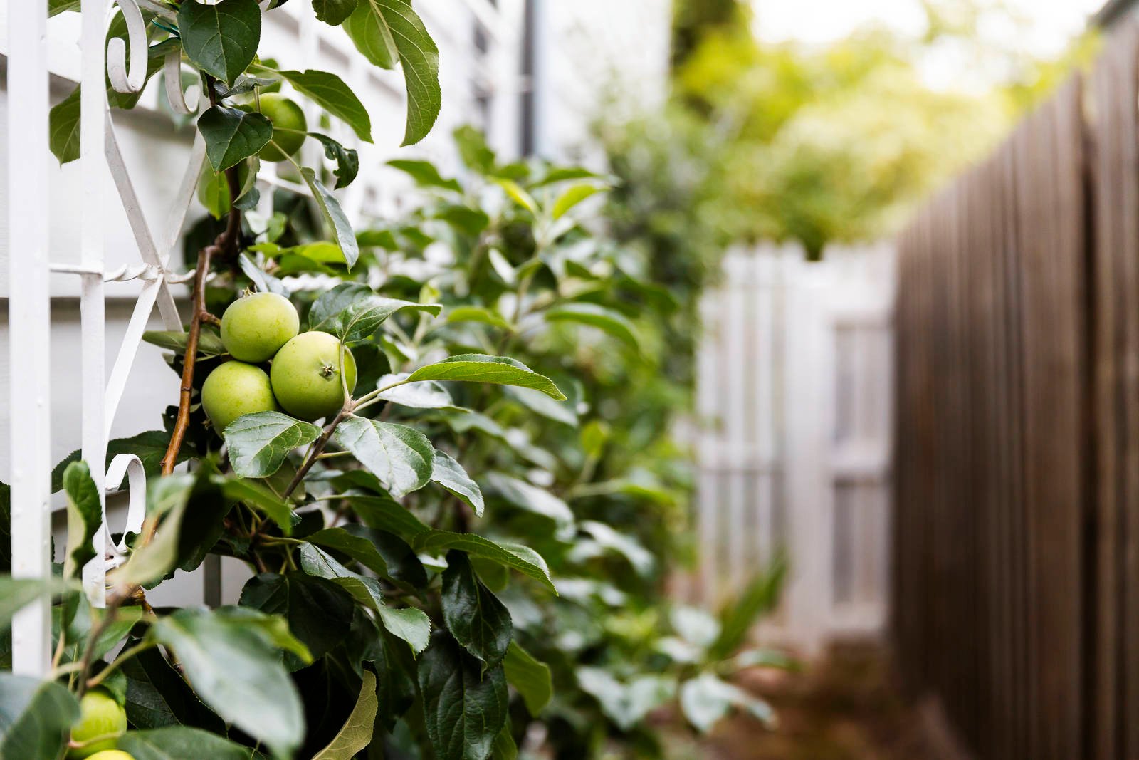 Real Estate and Property in 66 Aintree Road, Glen Iris, VIC