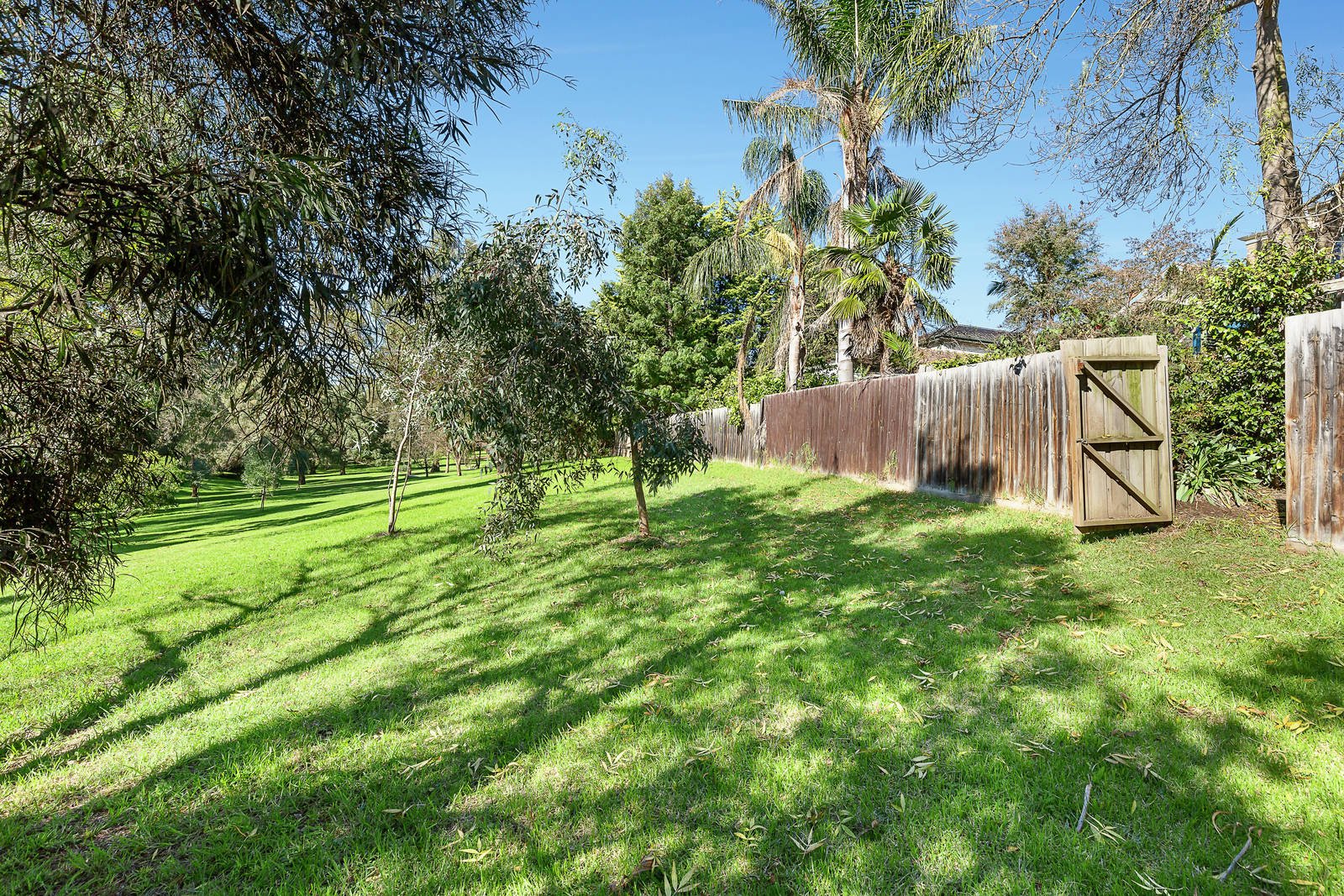 66 Barnard Grove, Kew, VIC