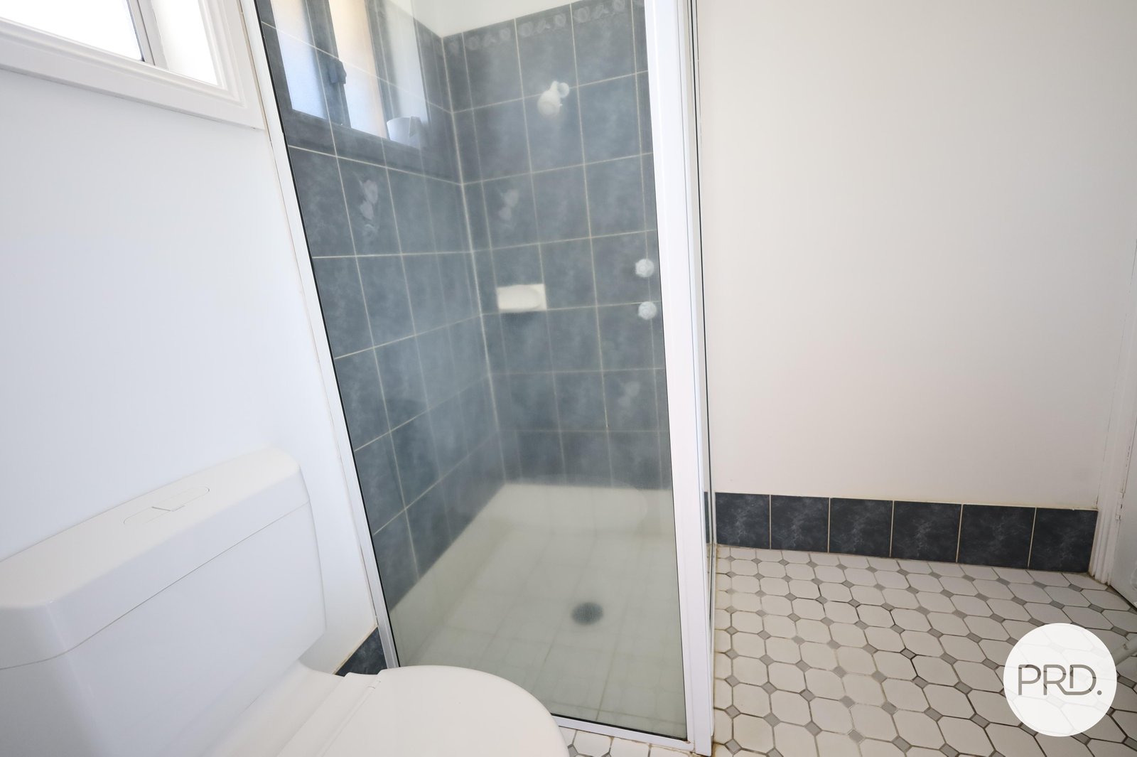 66 Carcoar Street SPRING HILL 8