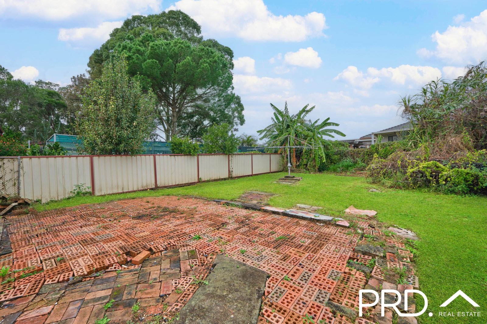 66 CARRINGTON Street REVESBY 10