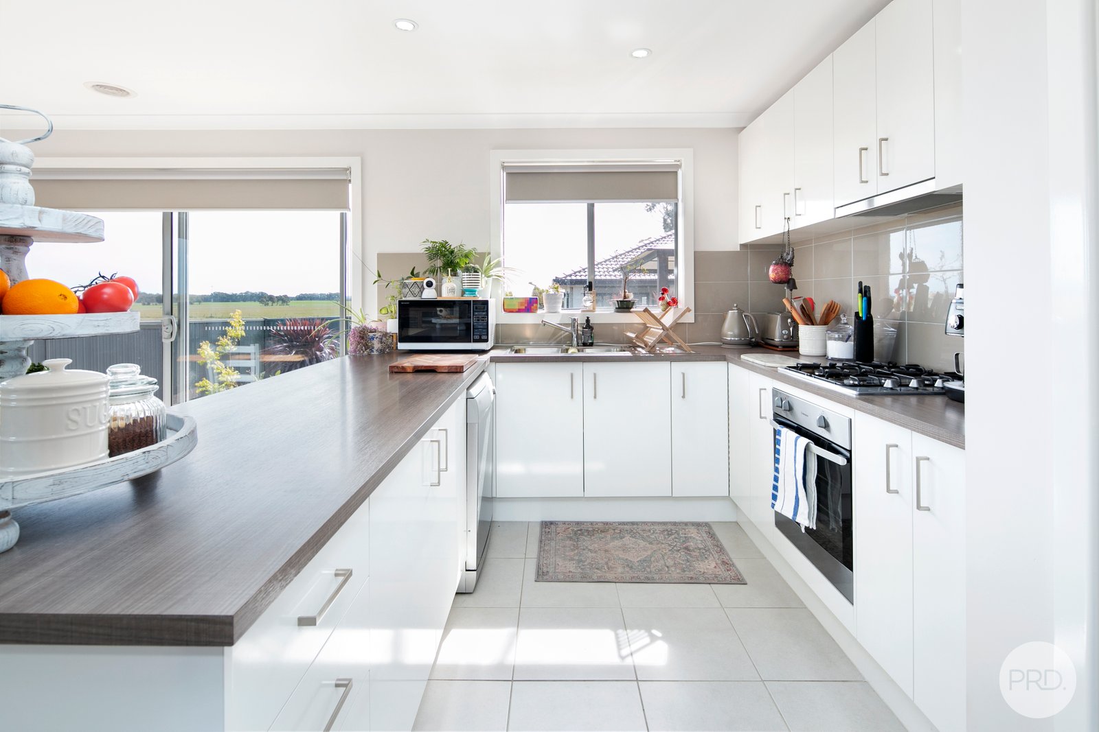 66 Daly Drive LUCAS 4