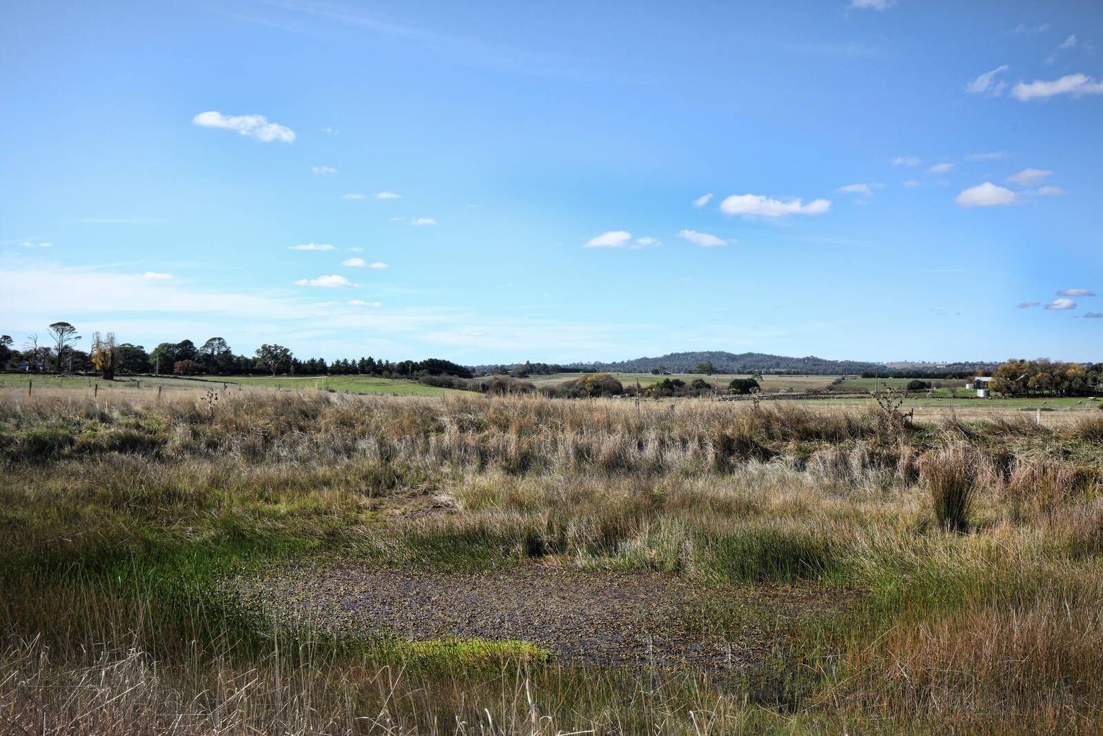 Real Estate and Property in 66 Donaldson Road, Greenhill, VIC