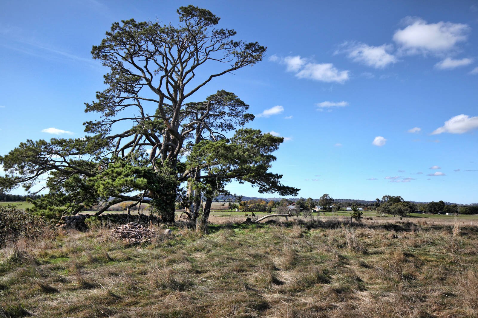 Real Estate and Property in 66 Donaldson Road, Greenhill, VIC