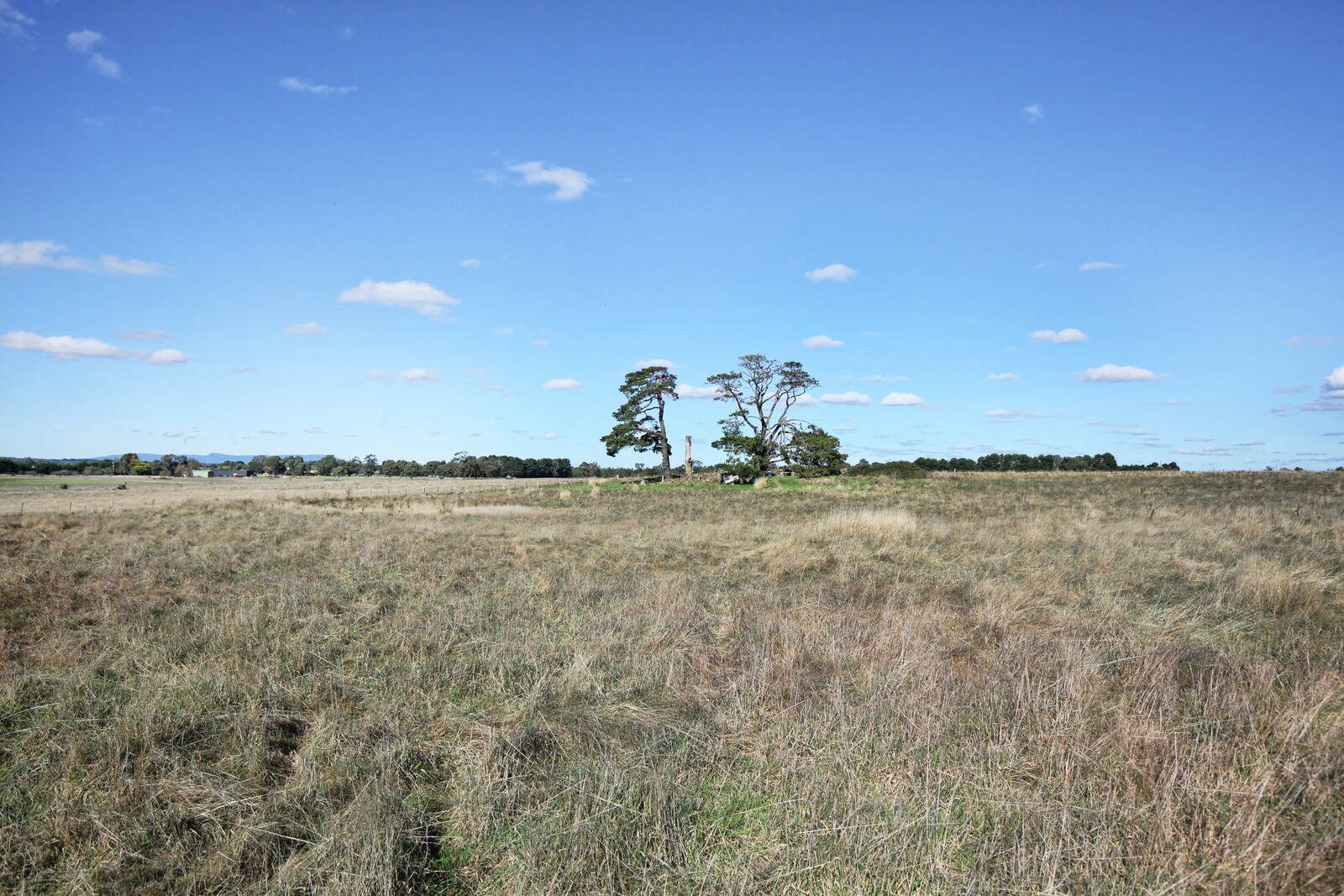 Real Estate and Property in 66 Donaldson Road, Greenhill, VIC