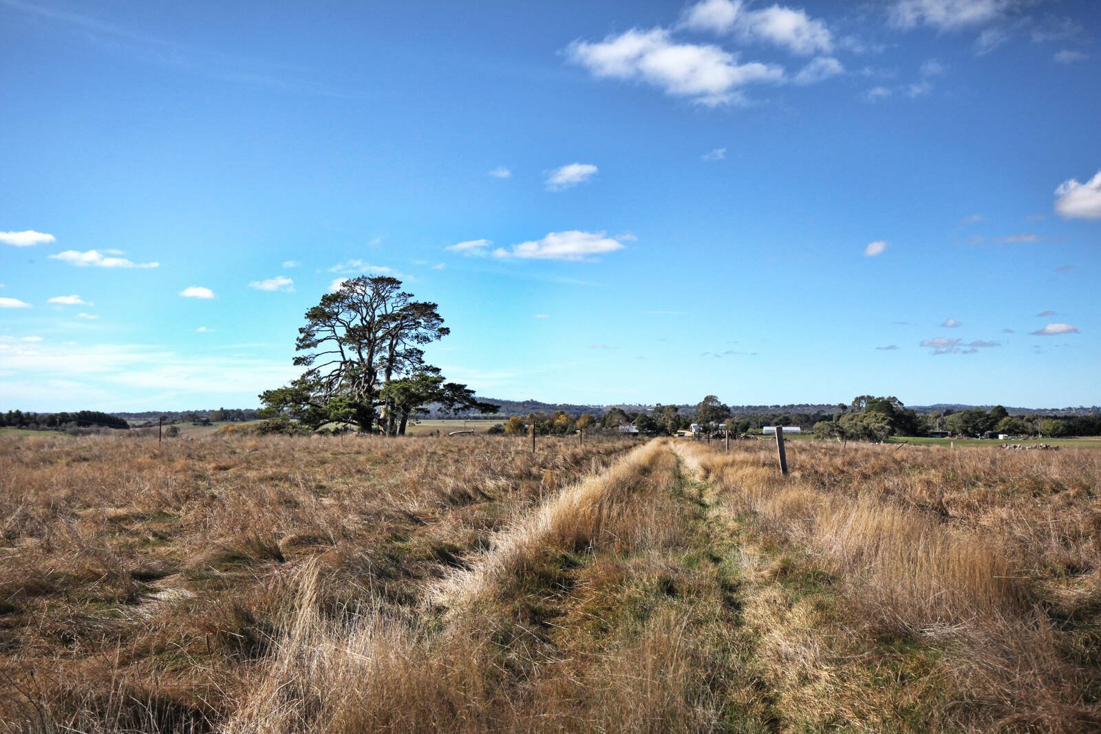 Real Estate and Property in 66 Donaldson Road, Greenhill, VIC