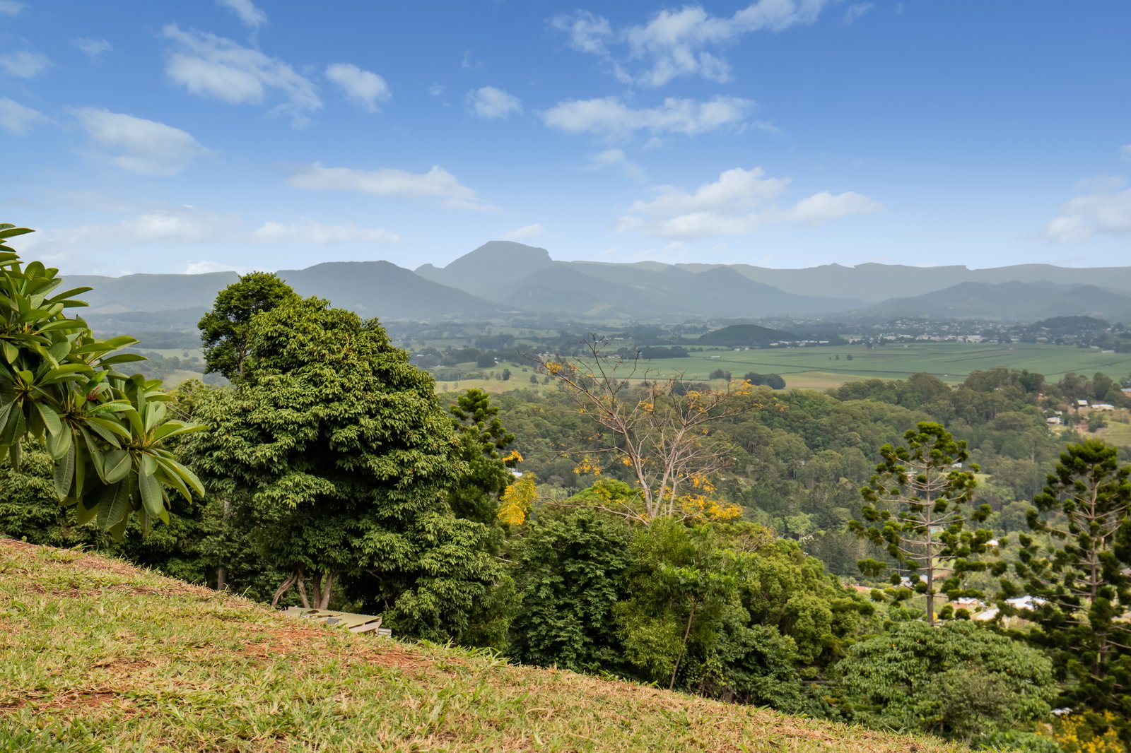 66 Farrants Road FARRANTS HILL 2