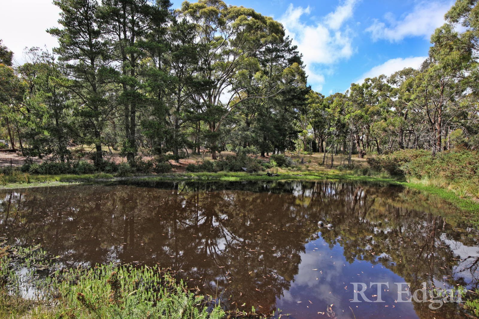Real Estate and Property in 66 Hallorans Lane, Kyneton, VIC